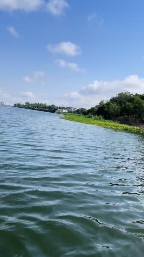 गणपति विसर्जन