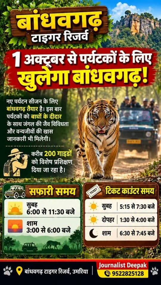 💥1 अक्टूबर से पर्यटकों के लिए खुलेगा बांधवगढ़ टाइगर रिजर्व!
नए पर्यटन सीजन के लिए बांधवगढ़ तैयार है। इस बार पर्यटकों को बाघों के दीदार के साथ जंगल की जैव विविधता और वन्यजीवों की खास जानकारी भी मिलेगी। करीब 200 गाइडों को विशेष प्रशिक्षण दिया जा रहा है।
📍 सफारी समय:
सुबह: 6:00 से 11:30 बजे
शाम: 3:00 से 6:00 बजे
टिकट काउंटर:
सुबह 5:15–7:30 | दोपहर 1:30–4:00 | शाम 6:30–7:45 बजे
Journalist Deepak
#Bandhavgarh #BandhavgarhTigerReserve #Umaria #TigerReserve #JungleSafari Wildlife MadhyaPradesh Tourism TigerSafari