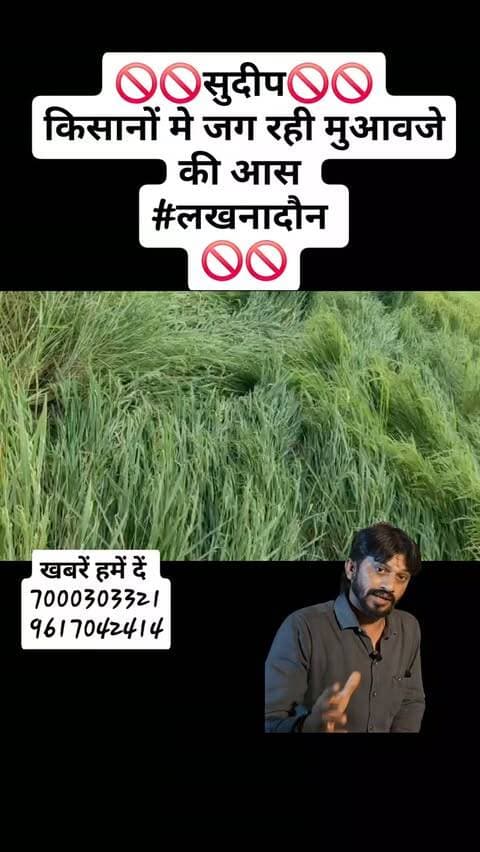 🚫🚫सुदीप🚫🚫
किसानों मे जग रही मुआवजे की आस
#लखनादौन
🚫🚫
#viralreels23 #Instaagram #likeforlikes viralreels23