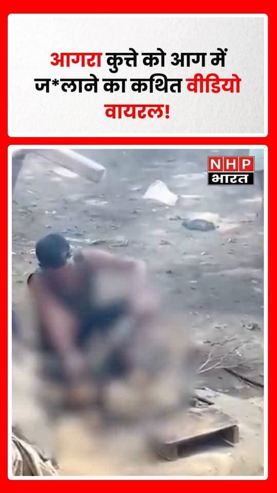 आगरा के सैंया थाना क्षेत्र में कुत्ते को आग में जलाने का कथित वीडियो सोशल मीडिया पर वायरल होने के बाद हड़कंप मच गया। वीडियो पशु हाट मैदान का बताया जा रहा है। पुलिस वायरल वीडियो की जांच कर रही है। जांच पूरी होने के बाद ही घटना की वास्तविकता स्पष्ट होगी।
.
.
.
.
#Agra #AgraNews #Saiyan #AnimalCruelty #ViralVideo #PoliceInvestigation #AnimalSafety #UPNews #BreakingNews #NHPBharat