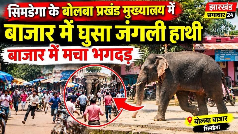 हाथी चले बाजार कुत्ता भौके हजार