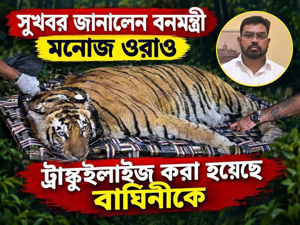 #BREAKING সুখবর,বিহারের বাল্মিকী ব্যাঘ্র প্রকল্পের বাঘিনীকে ট্র্যাঙ্কুইলাইজড করা গেল। হেলিকপ্টারে আনা হবে হাসিমারায়, এরপর গন্তব্য রাজাভাতখাওয়া
#RoyalBengalTiger #tigress #bihar Manoj Kumar Oraon Suvendu Adhikari #Alipurduar #highlightseveryone