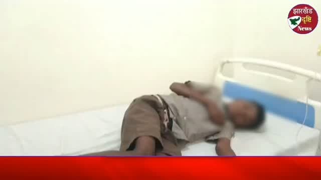 गढ़वा में 12 वर्षीय बच्चे को जहरीले सांप ने काटा, सदर अस्पताल रेफर