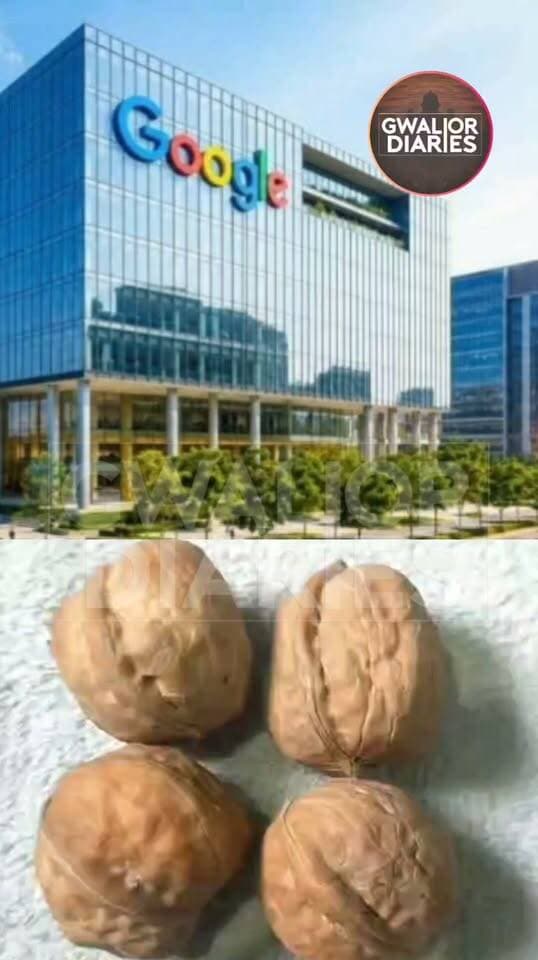 ग्वालियर: ₹260 के अखरोट का विज्ञापन गूगल को पड़ा भारी: उपभोक्ता आयोग ने 81 गुना रकम चुकाने का दिया आदेश...