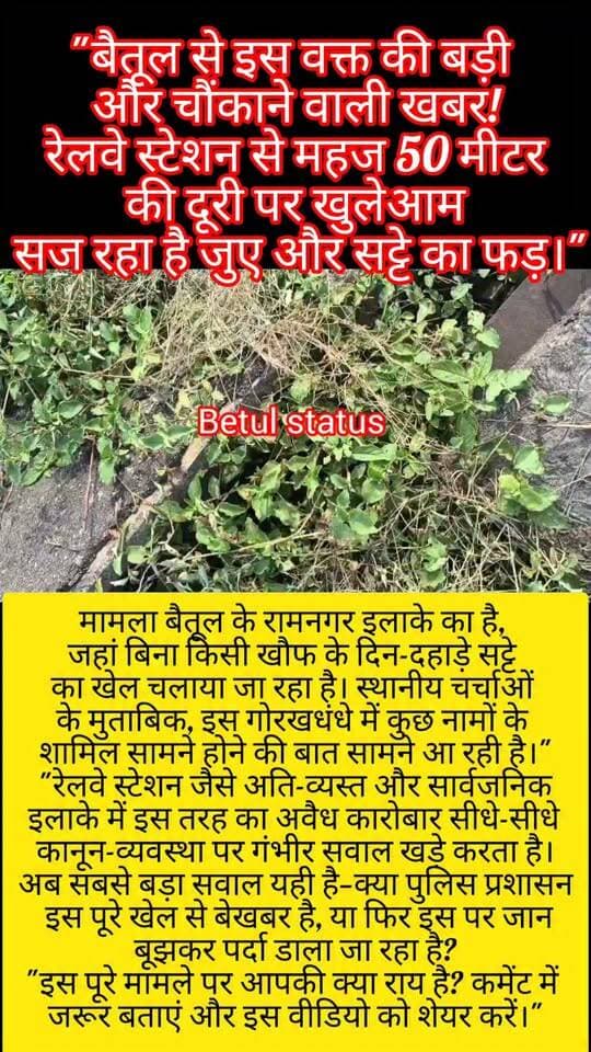 🚨 बैतूल में कानून को खुली चुनौती: रेलवे स्टेशन से महज 50 मीटर दूर खुलेआम चल रहा जुआ और सट्टा! 🚨
मध्य प्रदेश के बैतूल जिले से एक बेहद चौंकाने वाला मामला सामने आया है। शहर के अति-व्यस्त रामनगर इलाके में, रेलवे स्टेशन से चंद कदमों की दूरी पर खुलेआम जुआ और सट्टे का फड़ संचालित होने की शिकायतें मिल रही हैं।
सूत्रों के मुताबिक, इस गोरखधंधे में 5 लोगो के नाम सामने आ रहे है उन नामों की संलिप्तता की चर्चाएं जोरों पर हैं। इतने व्यस्त और संवेदनशील सार्वजनिक क्षेत्र में दिन-दहाड़े इस तरह की अवैध गतिविधियां चलना सीधे तौर पर कानून-व्यवस्था पर गंभीर सवाल खड़े करता है।
स्थानीय जनता के बीच अब यही बड़ा सवाल है—क्या जिम्मेदार पुलिस प्रशासन वाकई इस खेल से बेखबर है, या सब कुछ जानकर भी आंखें मूंद ली गई हैं?
👉 इस खबर पर आपकी क्या राय है? कमेंट में बताएं और वीडियो को ज्यादा से ज्यादा शेयर कर जिम्मेदारों तक आवाज पहुंचाएं!
हैशटैग्स (#Tags):
#Betul #BetulNews #RamnagarBetul #BetulPolice #CrimeNews #MPNews #MadhyaPradeshPolice #SattaBazar #IllegalGambling #LawAndOrder #ViralNews #ViralVideo #BreakingNews #TrendingNow #PublicSafety