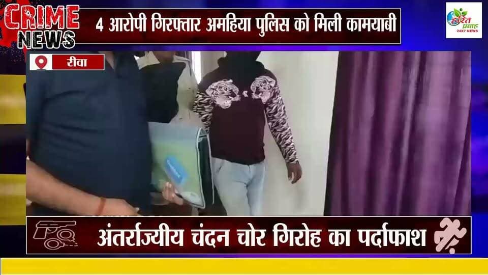 अंतर्राज्यीय चंदन चोर गिरोह का पर्दाफाश, 4 आरोपी गिरफ्तार अमहिया पुलिस को मिली कामयाबी