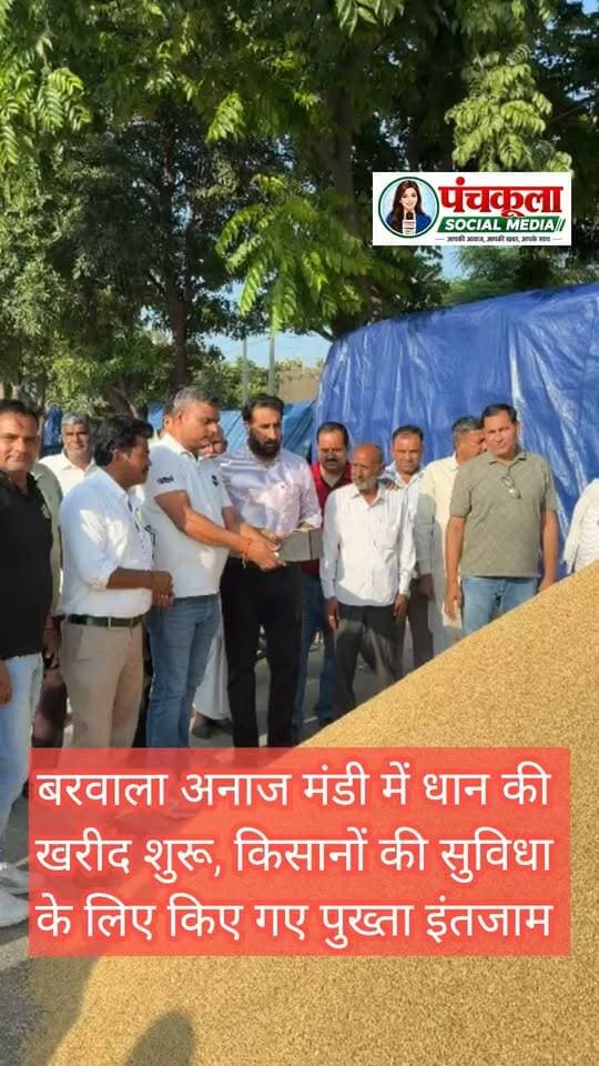 बरवाला अनाज मंडी में धान की खरीद शुरू, किसानों की सुविधा के लिए किए गए पुख्ता इंतजाम
बरवाला, 29 सितंबर। बरवाला अनाज मंडी में आज धान की खरीद प्रक्रिया विधिवत रूप से शुरू हुई। इस अवसर पर मार्केट कमेटी बरवाला के चेयरमैन देशराज पोसवाल ने मंडी में खरीद व्यवस्थाओं का जायजा लिया और किसान भाइयों को आश्वस्त किया कि उनकी फसल की खरीद को लेकर किसी प्रकार की परेशानी नहीं आने दी जाएगी।
चेयरमैन देशराज पोसवाल ने कहा कि माननीय मुख्यमंत्री श्री नायब सिंह सैनी जी के नेतृत्व वाली हरियाणा सरकार किसानों की फसल का एक-एक दाना खरीदने के लिए प्रतिबद्ध है। किसानों की सुविधा और उनकी फसल की सुचारू खरीद के लिए सरकार एवं प्रशासन द्वारा आवश्यक व्यवस्थाएं सुनिश्चित की गई हैं।
उन्होंने कहा कि बरवाला अनाज मंडी में किसानों के लिए पुख्ता इंतजाम किए गए हैं। मंडी में पीने के पानी, शौचालय, बारदाने सहित अन्य आवश्यक सुविधाओं का विशेष ध्यान रखा गया है, ताकि किसानों को अपनी धान की फसल लेकर मंडी में आने पर किसी प्रकार की असुविधा न हो।
उन्होंने कहा कि धान की आवक के साथ खरीद प्रक्रिया को भी सुचारू रूप से आगे बढ़ाया जाएगा तथा किसानों, आढ़तियों, व्यापारियों और संबंधित विभागों के अधिकारियों एवं कर्मचारियों के साथ बेहतर समन्वय बनाकर खरीद कार्य को व्यवस्थित ढंग से पूरा किया जाएगा।
इस अवसर पर मार्केट कमेटी बरवाला के वाइस चेयरमैन अक्षय राणा जी सहित व्यापारी भाइयों में कुलविंदर जी, राजवीर राणा जी, हरपाल सिंह जी, अजय सिंघला जी, अजय गुप्ता जी, जसबीर सिंह जी और राम करण जी मौजूद रहे।
वहीं किसान भाइयों में परमाल सिंह जी रत्तेवाली, राजवीर जी रत्तेवाली, बृजपाल जी टाबर, करमपाल जी, विजय कुमार जी बागवाली, वीरेंद्र सिंह जी टाबर, सुबे सिंह जी, विक्रम सिंह जी टाबर, खरेती लाल जी गाजीपुर, राज कुमार जी हरिपुर तथा हजारा सिंह जी टोडा उपस्थित रहे।
इसके अलावा हैफेड के कर्मचारी भी खरीद प्रक्रिया के दौरान मौजूद रहे। फूड सप्लाई इंस्पेक्टर डिंपल चौधरी जी ने भी मंडी में पहुंचकर खरीद व्यवस्थाओं का जायजा लिया। संबंधित अधिकारियों एवं कर्मचारियों ने किसानों की सुविधा और धान की खरीद को सुचारू रूप से संचालित करने के लिए व्यवस्थाओं को सुनिश्चित किया। D R Poswal
पंचकूला की हर बड़ी खबर के लिए Follow करें।
#panchkulanews #panchkula #panchkulasocialmedia #barwalapanchkula
