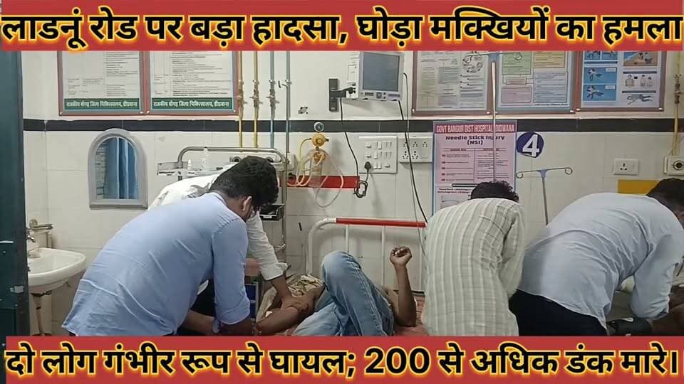 #लाडनूं_रोड_पर_बड़ा_हादसा_घोड़ा_मक्खियों_के_हमले_से_दो #लोग_गंभीर_रूप_से_घायल_200_से_अधिक_डंक_मारे
#ladnu #road #par #bada #hadsa #ghoda #makkhiyo #ke #hamale #se #do #log #gabhir #rup #se #ghayal #200 #se #adhik #dank #mare #news #didwanajila