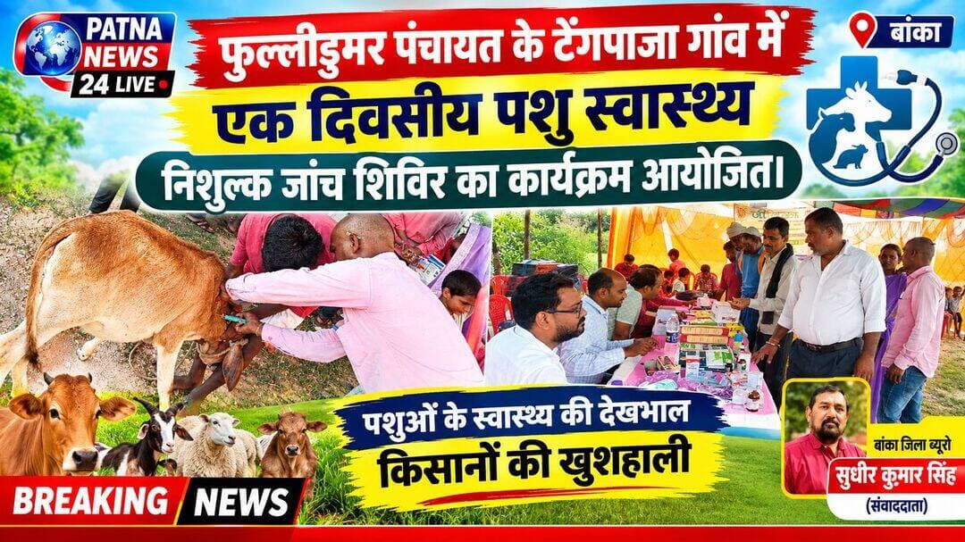 फुल्लीडुमर पंचायत के टेंगपाजा गांव में एक दिवसीय पशु स्वास्थ्य निशुल्क जांच शिविर का कार्यक्रम आयोजित।
बिहार/बांका। बांका जिला अंतर्गत ग्राम पंचायत फुल्लीडुमर के आदीवासी टोला टेंगपाजा में प्रखंड जीविका कार्यालय फुल्लीडुमर के सौजन्य से एक दिवसीय निशुल्क पशु स्वास्थ्य जांच एंव जागरुकता शिविर आयोजित किया गया।इस शिविर में मुख्य रुप से जीविका से जुड़े किसान भाईयों एंव पशुपालकों दीदीयों का पशुओं का इलाज ग्रामिण प्रवेश में शिविर आयोजित करते हुए किया गया इस दौरान लगभग 500 मवेशियों एंव बकरियों का इलाज मुफ्त में करते हुए दबाइयां भी मुफ्त में देने का कार्य किया गया । मौके पर चिकित्सा करने को लेकर पशु चिकित्सक डाक्टर नवीन कुमार मंडल, डाक्टर मृत्युंजय कुमार ,बलराम कुमार ,के द्वारा किया गया । शिविर का उद्घाटन क्षेत्रीय समन्वयक अमित कुमार सिंहा के द्वारा किया गया जिसकी पूरे शिविर का संचालन का कार्य सामुदायिक गौतम शंभू , सुभाष कुमार दास , कृष्ण देव कुमार , नंदकिशोर कुमार यादव , सीएम संगीता सोरेन,सोनी कुमारी,सिंपल कुमारी,कांता कुमारी , करिश्मा कुमारी,रुपा कुमारी ,आदी लोगों के द्वारा सहयोग करने का भरपूर काम किया ।