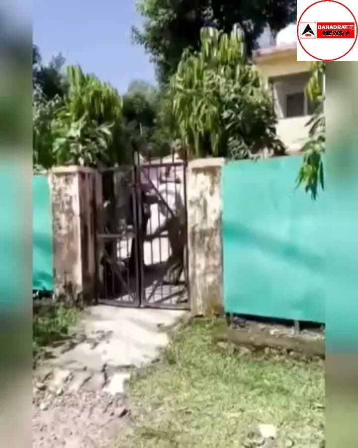 उत्तराखंड में आयोजित TET परीक्षा के दौरान कोटद्वार में दूसरे अभ्यर्थी की जगह परीक्षा देने का कथित मामला सामने आया है। उत्तराखंड बेरोजगार संघ के अध्यक्ष राम कंडवाल और उनकी टीम ने इसकी सूचना पुलिस-प्रशासन को दी।
संघ के अनुसार, उन्हें जानकारी मिली थी कि काशीपुर निवासी अभ्यर्थी विशाल कुमार के स्थान पर कोई दूसरा युवक परीक्षा दे रहा है। शिकायत के बाद पुलिस-प्रशासन परीक्षा केंद्र पहुंचा और अभ्यर्थी की पहचान व एडमिट कार्ड की फोटो का मिलान कराया।
पहचान को लेकर संदेह सामने आने के बाद पुलिस ने संबंधित युवक को हिरासत में लेकर जांच शुरू कर दी। बेरोजगार संघ ने मामले में नकल विरोधी कानून सहित संबंधित धाराओं में कड़ी कार्रवाई की मांग की है।
राम कंडवाल ने कहा कि प्रतियोगी परीक्षाओं में पारदर्शिता जरूरी है और किसी भी तरह के कथित फर्जीवाड़े से मेहनत करने वाले अभ्यर्थियों के अधिकार प्रभावित नहीं होने चाहिए। मामले में पुलिस की जांच के बाद ही पूरी स्थिति स्पष्ट होगी।
