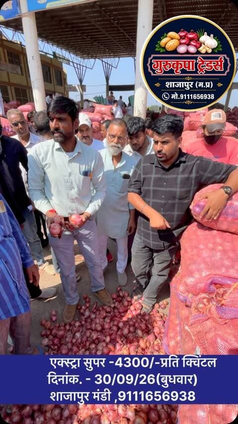 #indoremandibhav #ujjainmandibhav #mandsaurmandibhav#shajapurmandibhav