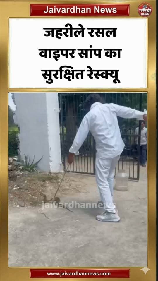 राजसमंद के मौकाड़ा गाँव मे जहरीले रसल वाइपर सांप का सुरक्षित रेस्क्यू #rajsamandnews #snakerescue #russelviper