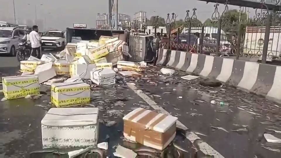 🐟 एक्सप्रेसवे पर मछलियां! 🐟
गाजियाबाद में बड़ा हादसा टला
गाजियाबाद में दिल्ली-मेरठ एक्सप्रेसवे पर मछलियों से लदा एक ट्रक अचानक टायर फटने से पलट गया।
ट्रक पलटते ही उसमें लदे थर्माकोल के बॉक्स सड़क पर बिखर गए और सैकड़ों किलो मछलियां पूरे एक्सप्रेसवे पर फैल गईं।
बताया जा रहा है कि पीछे से आ रही एक कार भी ट्रक से टकरा गई। कार में फंसे लोगों को सुरक्षित बाहर निकाल लिया गया, किसी को गंभीर चोट नहीं आई।
सड़क पर मछलियां बिखरने के बाद भीड़ जमा होने लगी, लेकिन मौके पर पुलिस के पहुंचने से स्थिति संभल गई और लूटपाट जैसी कोई घटना नहीं हुई। पुलिस ने ट्रैफिक को डायवर्ट कर क्रेन की मदद से ट्रक को हटवाया।
वीडियो गाजियाबाद एक्सप्रेसवे का बताया जा रहा है।
#GhaziabadNews #Expressway #Accident #FishTruck #GhaziabadPolice #ViralVideo #DDMNEWS #ViralVideo