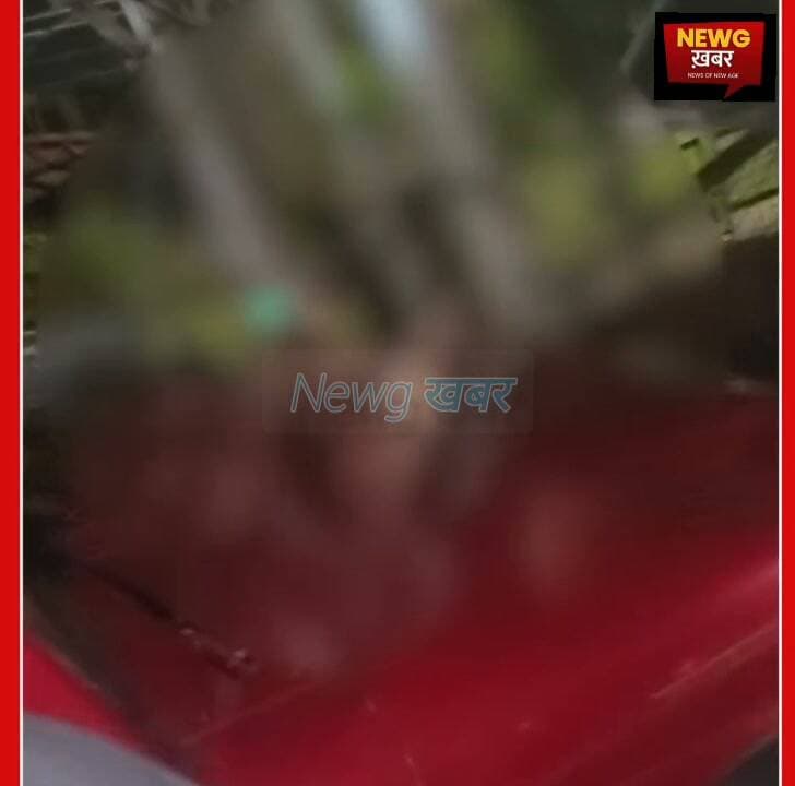 चंडीगढ़ में तेज रफ्तार थार का कहर
- दो युवकों को बुरी तरह किया घायल
-युवती चला रही थी गाड़ी