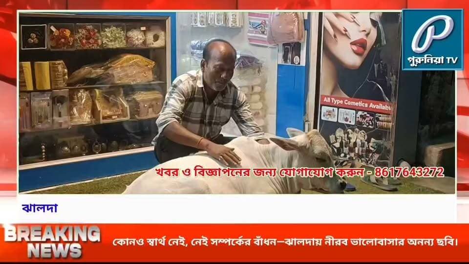ভালোবাসার টানে দোকানের সামনে হাজির শাবক, সঙ্গে মা—ঝালদায় ভাইরাল নীরব সম্পর্ক।
#PuruliaTV #PuruliaNews #Jhalda #JhaldaNews #Purulia #HumanAnimalBond #AnimalLove #UnconditionalLove #HeartwarmingStory #LoveAndCompassion #CattleLove #ViralStory