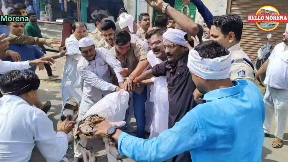 पुतला दहन के दौरान कांग्रेसियों और पुलिस के जवानों में खींचतान, पुलिस की नजरों से बचकर फूंक रहे थे पुतला👇