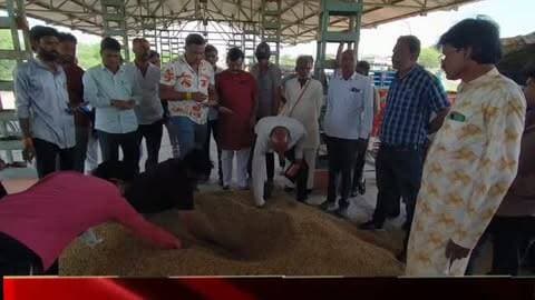 मोहन बड़ोदिया कृषि उपज मंडी में बुधवार को सोयाबीन और गेहूं की आवक रही
