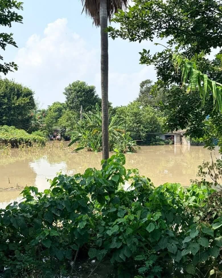 मुजफ्फरपुर जिले के पारू प्रखंड स्थित फतेहाबाद बांध क्षेत्र में बाढ़ का पानी फैलने से जनजीवन प्रभावित
#SAROJRAJA