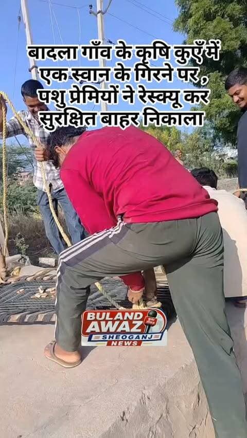 बादला गाँव के कृषि कुएँ में एक स्वान के गिरने पर , पशु प्रेमियों ने रेस्क्यू कर सुरक्षित बाहर निकाला #breaking