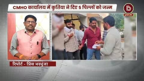 CMHO कार्यालय के अंदर कुतिया ने दिया पिल्लों को जन्म, कॉंग्रेसियों ने बांटी बेशर्मी की मिठाई