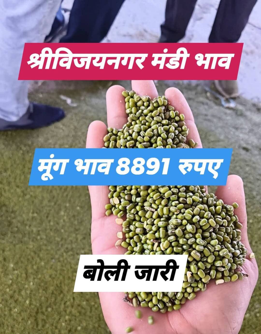 श्रीविजयनगर मंडी भाव
<nis:link nis:type=tag nis:id=मूंग nis:value=मूंग nis:enabled=true nis:link/> <nis:link nis:type=tag nis:id=moong nis:value=moong nis:enabled=true nis:link/> <nis:link nis:type=tag nis:id=agriculture nis:value=agriculture nis:enabled=true nis:link/> <nis:link nis:type=tag nis:id=viralpost nis:value=viralpost nis:enabled=true nis:link/>