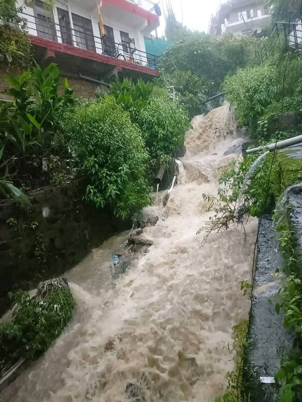 Solan: वार्ड नंबर सात में खुले में बहते गंदे नाले से वार्डवासी परेशान
* अनेक असाध्य रोग फैलने का खतरा
* बीते कई वर्षों से अनेक दुर्घटनाएं हो चुकी है यहां पर
* हर बार बजट पेश होता है,मगर आज तक समस्या जस की तस। सभी निवासी वॉर्ड नंबर 7