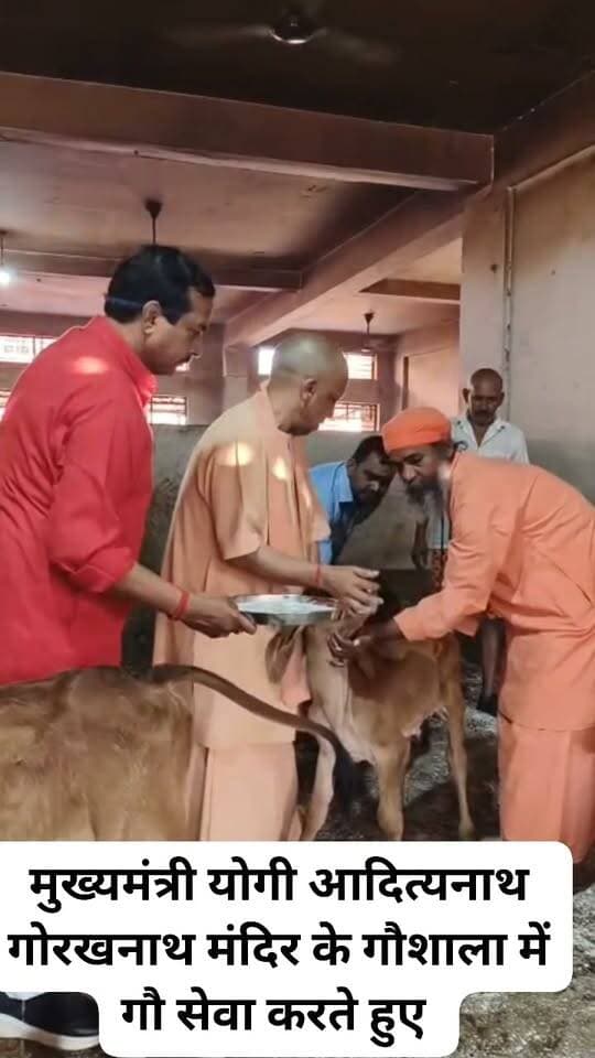 मुख्यमंत्री योगी आदित्यनाथ गोरखनाथ मंदिर के गौशाला में गौ सेवा करते हुए
#gorakhpur
#GorakhnathMandir