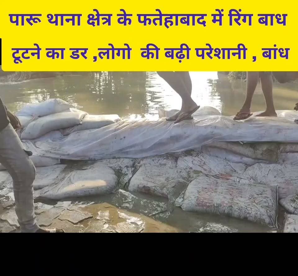 मुजफ्फरपुर जिले के पारु थाना क्षेत्र के फतेहाबाद में रिंग बांध टूटने का डर ,लोगों की बढ़ी परेशानी मरमती को लेकर पहुंचे ग्रामीण