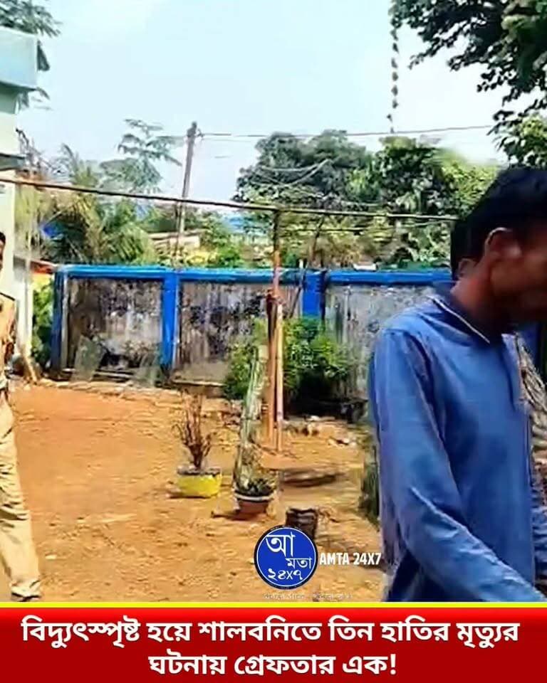 শালবনিতে তিন হাতির মৃ*ত্যুতে বন দফতর হাতে গ্রেফতার ১ ! ১৪ দিনের জেল হেফাজতের নির্দেশ |
#হাতি #শালবনি