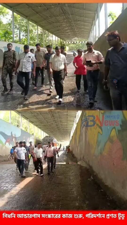 গিধনি আন্ডারপাসে সংস্কারের কাজ শুরু, পরিস্থিতি দেখতে গেলেন প্রণত টুডু
#mlapranattudu #GIDHNI