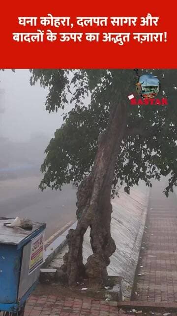 घना कोहरा, दलपत सागर और बादलों के ऊपर का अद्भुत नज़ारा!