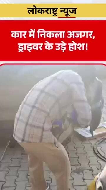 कार के पिछले टायर के पास छिपा था विशाल अजगर, नजर पड़ते ही ड्राइवर के उड़े होश!