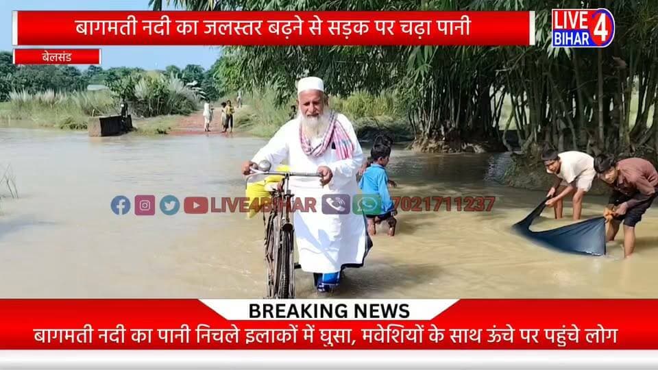 बागमती नदी का जलस्तर बढ़ने से सड़क पर चढ़ा पानी
#Belsand #BagmatiRiver #BiharFlood #SitamarhiNews #FloodAlert #BiharNews #GroundReport #live4bihar #belsand #Liveupdates #village #LocalNews #flood #Dariyapur