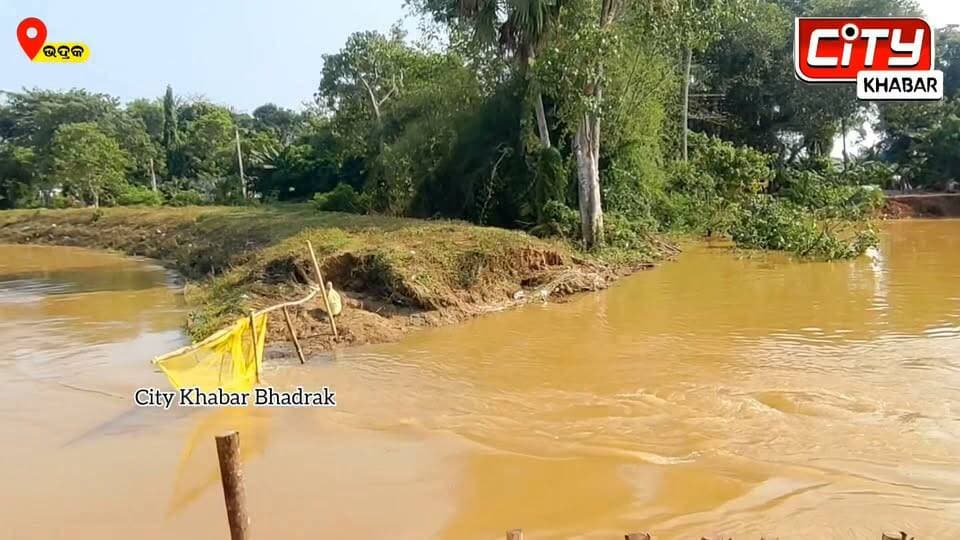 ଭଦ୍ରକ: ସିରିଜ୍ ବନ୍ୟା ସାଳନ୍ଦୀ ଓ ନାଳିଆ ନଦୀର ଦୁଃଖ ବଢ଼ାଇଛି, ଭଦ୍ରକ ବ୍ଲକ ଓ ଧାମନଗର ବ୍ଲକର ଅନେକ ପଞ୍ଚାୟତକୁ ବନ୍ୟାଜଳ ପ୍ରବେଶ କରିଛି । ଏହା ଦ୍ବାରା ଚାଷଜମି ଓ ମାଟି ଘର ଗୁଡ଼ିକର ଅନେକ କ୍ଷୟକ୍ଷତି ହୋଇଛି। କୁଳବନ୍ଧ ଓ ଘାଇ ଗୁଡିକର ସ୍ଥାୟୀ ନିର୍ମାଣ କାର୍ଯ୍ୟ ପାଇଁ ସ୍ଥାନୀୟ ବାସିନ୍ଦାଙ୍କ ଦାବି।
#citykhabarbhadrak