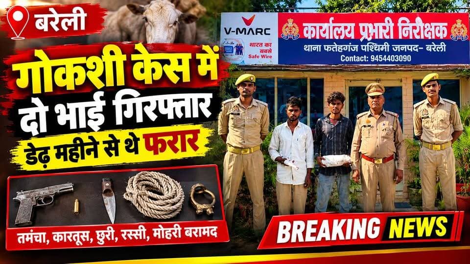 गोकशी मामले में डेढ़ महीने से फरार दो सगे भाई गिरफ्तार।
#BareillyNews #BreakingNews #UPNews #CrimeNews #PoliceAction #b9tvnews