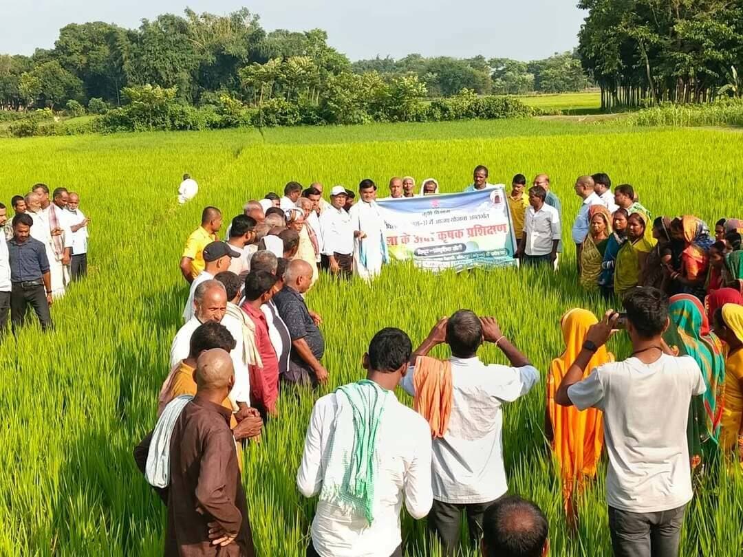 *प्रेस विज्ञप्ति*
समाहरणालय, मधेपुरा
जिला जनसंपर्क कार्यालय
जिला कृषि कार्यालय के सहयोग से
दिनांक : 30 सितंबर 2026
*प्राकृतिक खेती को बढ़ावा देने की दिशा में कृषक परिभ्रमण कार्यक्रम का समापन*
*छह प्रखंडों के 300 प्रगतिशील किसानों ने प्राकृतिक खेती की तकनीक एवं कम लागत में अधिक आय के गुर सीखे*
मधेपुरा। जिला कृषि कार्यालय, मधेपुरा द्वारा आयोजित “जिला के अंदर कृषक परिभ्रमण” कार्यक्रम के तहत बुधवार को मुरलीगंज एवं कुमारखण्ड प्रखंडों के 50-50, कुल 100 प्रगतिशील कृषकों को बेहरारी, शंकरपुर स्थित प्रगतिशील कृषक श्री उपेन्द्र कुमार के प्रक्षेत्र पर प्राकृतिक खेती का व्यावहारिक प्रशिक्षण एवं अवलोकन कराया गया।
जिला कृषि पदाधिकारी-सह-परियोजना निदेशक, आत्मा, मधेपुरा श्री रीतेश रंजन ने बताया कि दिनांक 28 से 30 सितंबर तक जिले के छह प्रखंडों—मधेपुरा, सिंहेश्वर, घैलाढ़, गम्हरिया, मुरलीगंज एवं कुमारखण्ड—से कुल 300 कृषकों को प्राकृतिक खेती की तकनीकों से अवगत कराया गया। कार्यक्रम का उद्देश्य किसानों को कम लागत में गुणवत्तापूर्ण उत्पादन एवं आय वृद्धि के लिए प्राकृतिक खेती को अपनाने हेतु प्रेरित करना है।
प्रशिक्षक श्री उपेन्द्र कुमार ने प्राकृतिक खेती के महत्व एवं लाभों की जानकारी देते हुए निमास्त्र, आग्नेयास्त्र, दशपर्णी अर्क, जीवामृत, घनजीवामृत, ब्रह्मास्त्र, बीजामृत एवं डीकंपोजर आदि तैयार करने की विधि का व्यावहारिक प्रदर्शन किया।
समापन कार्यक्रम में कृषि विज्ञान केन्द्र, मधेपुरा के वरीय वैज्ञानिक-सह-प्रधान डॉ. सुरेन्द्र चौरसिया, डॉ. पंकज कुमार यादव एवं वैज्ञानिक श्री राहुल कुमार वर्मा ने किसानों को प्राकृतिक खेती की वैज्ञानिक तकनीकों एवं लाभों की विस्तारपूर्वक जानकारी दी। उन्होंने बताया कि कृषि विज्ञान केन्द्र, मधेपुरा में प्राकृतिक खेती का मॉडल विकसित किया गया है, जिसका किसान प्रत्यक्ष अवलोकन कर उपयोगी तकनीक सीख सकते हैं।
कार्यक्रम में प्रखंड एवं आत्मा के पदाधिकारी/कर्मी, टीम लीडर सहित बड़ी संख्या में प्रगतिशील किसान उपस्थित रहे। किसानों ने प्राकृतिक खेती की तकनीकों को अपनाने में विशेष रुचि व्यक्त की।
Information & Public Relations Department, Government of Bihar