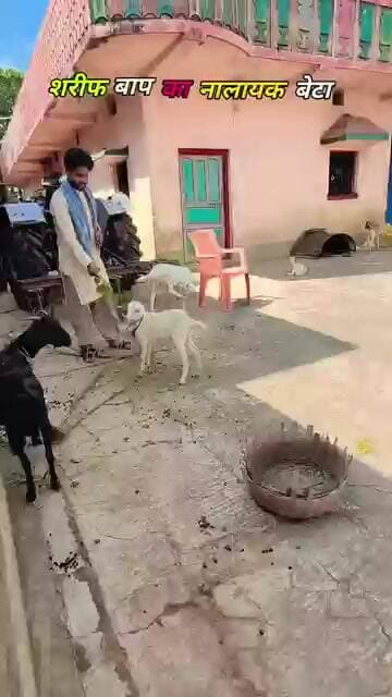 Nalayak Beta 10 Saal Ranchi📌 me Padhne Ke Baad #youtubeshorts #funny