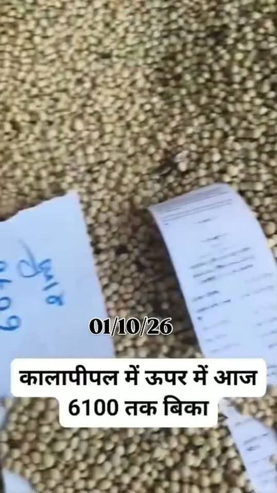 #viralreels #viralreelsvideo #trending #reelkarofeelkaro #mandibhavkalapipal