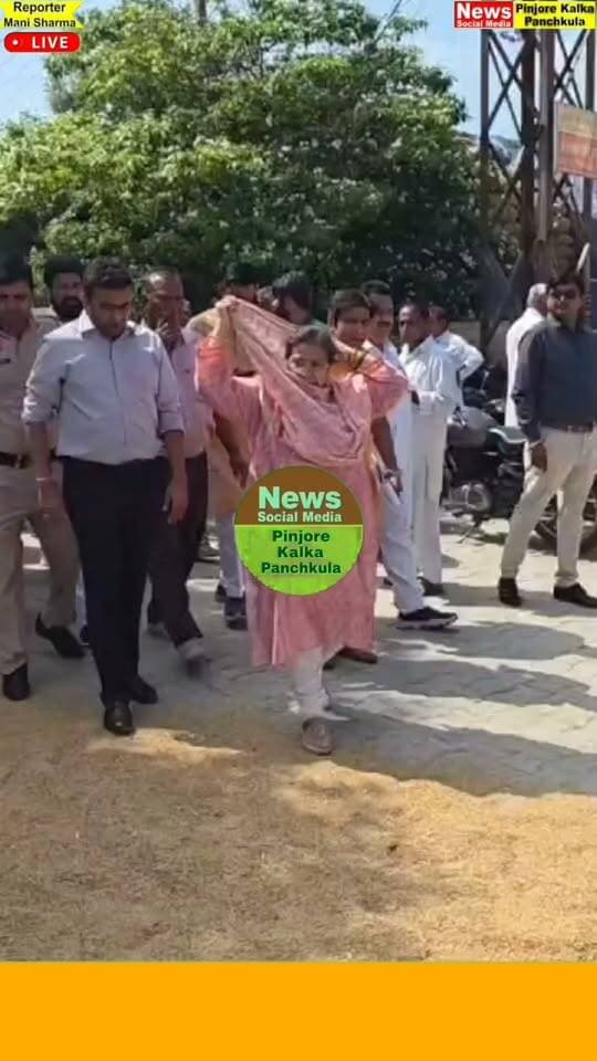 धान खरीद की तैयारियों को लेकर विधायक शक्तिरानी शर्मा ने रायपुर रानी और बरवाला मंडी का किया औचक निरीक्षण।
Like /comment /share / follow instagram and you tube subscribe
https://nsmpkp.com News Social Media Pinjore Kalka Panchkula Reporter mani Pinjore / kalka
1-10-2026,
my E-mail:manisharma4009@ gmail.com what's app no:-9896944009
https://www.instagram.com/reel/Dd8wGUDyFd5/?stkn=MWVrb2R6d3UwdmhubQ==
https://youtu.be/HrKSyPAMHXM?si=gaqSMNWFgu7foNX9