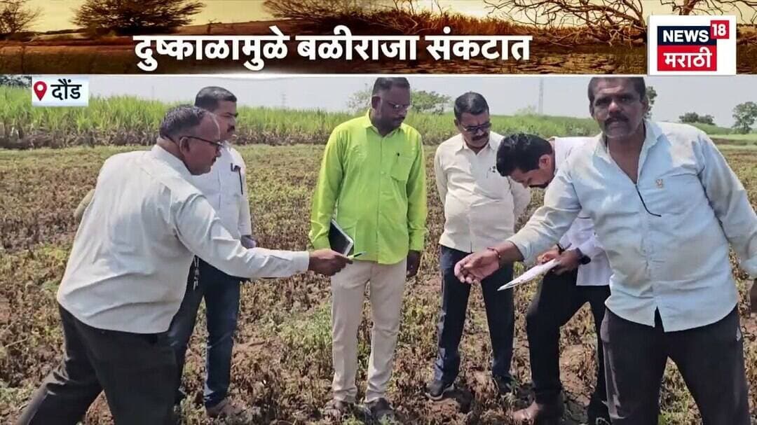 Daund Farmer News | दुष्काळामुळे बळीराजा संकटात, दौंडमध्ये पीक नुकसानीचे पंचनामे सुरू