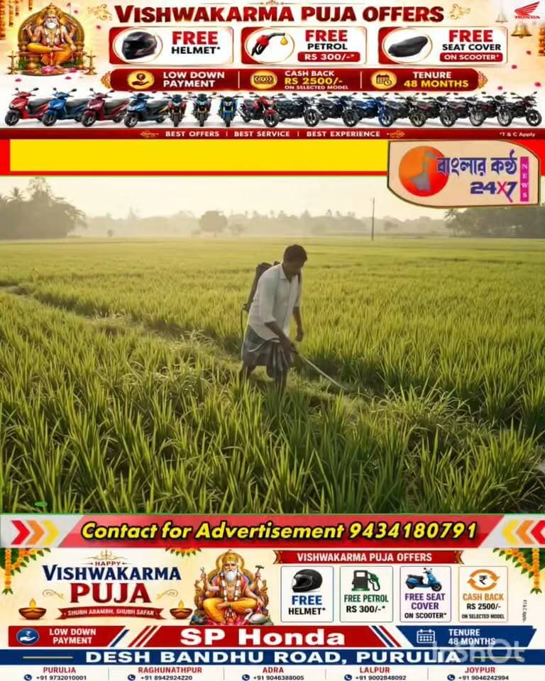 শ্রমিক সংকটে ধান চাষে নতুন প্রযুক্তি, শাগমায় ‘আসান খেতি’র প্রয়োগ