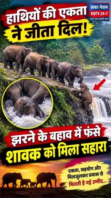 तेज झरने में फंसा नन्हा हाथी, माँ और झुंड ने मिलकर बचाई जान