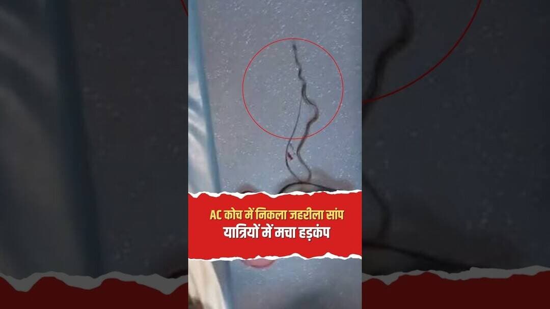 गोंदिया-बरौनी एक्सप्रेस के AC कोच में निकला जहरीला सांप! यात्रियों में मचा हड़कंप!