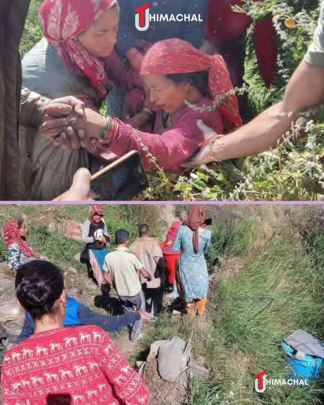 कुल्लू:कशामटी कूटला में घास काट रही महिला पर भालू का हमला, इलाके में दहशत
<nis:link nis:type=tag nis:id=kashamatikutla nis:value=KashamatiKutla nis:enabled=true nis:link/> <nis:link nis:type=tag nis:id=bearattack nis:value=BearAttack nis:enabled=true nis:link/> <nis:link nis:type=tag nis:id=himachalpradesh nis:value=HimachalPradesh nis:enabled=true nis:link/> <nis:link nis:type=tag nis:id=himachalnews nis:value=HimachalNews nis:enabled=true nis:link/> <nis:link nis:type=tag nis:id=kullu nis:value=Kullu nis:enabled=true nis:link/> <nis:link nis:type=tag nis:id=wildlife nis:value=Wildlife nis:enabled=true nis:link/> <nis:link nis:type=tag nis:id=uthimachal nis:value=UTHimachal nis:enabled=true nis:link/> <nis:link nis:type=tag nis:id=utnews nis:value=UTNews nis:enabled=true nis:link/>