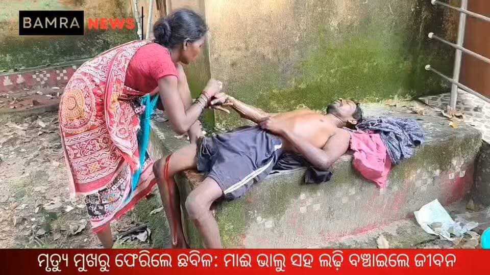 ସୁନାପଡ଼ା ଜଙ୍ଗଲରେ ଭାଲୁ ଆତଙ୍କ! ଛେଳି ଚରାଉଥିବା ବେଳେ ଛବିଳଙ୍କୁ ଝାମ୍ପିପଡ଼ିଲା ମାଈ ଭାଲୁ
ଟାଙ୍ଗିଆରେ ପ୍ରତିଆକ୍ରମଣ କରି ବଞ୍ଚାଇଲେ ଜୀବନ, ହାତ-ଗୋଡ଼ ଓ ଛାତିରେ ଗଭୀର ଆଘାତ
#BearAttack #BearAttackInBamara #SunapadaForest #BamaraNews #Bamara #Laikera #Pakelpada #SambalpurNews #OdishaNews #Wildlife #HumanWildlifeConflict #BearInForest #ForestNews #BreakingNews #LocalNews #OdishaWildlife #Sambalpur #BamaraNews24x7