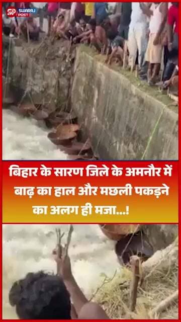बिहार के Saran जिले के अमनौर में बाढ़ का हाल और मछली पकड़ने का अलग ही मजा...!