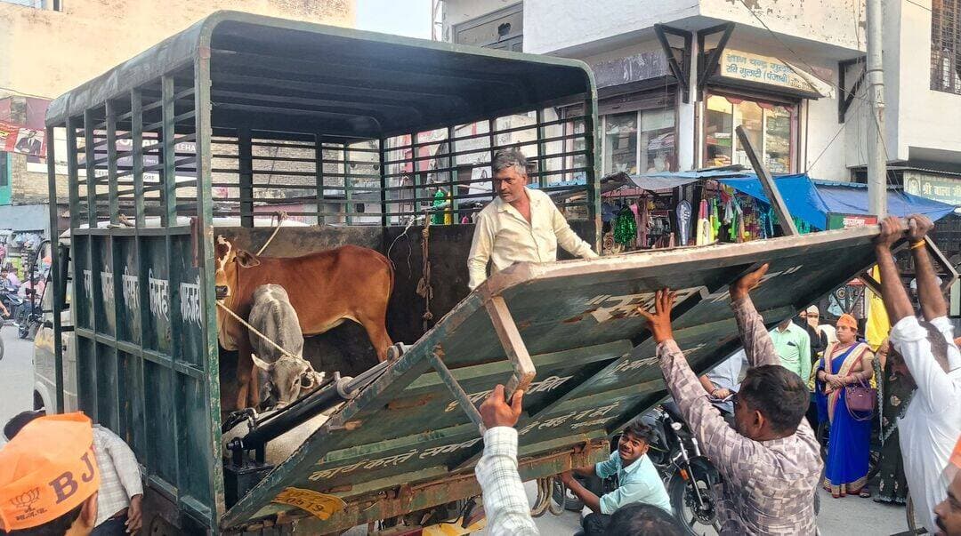 <nis:link nis:type=tag nis:id=तिलहर nis:value=तिलहर nis:enabled=true nis:link/> नगर <nis:link nis:type=tag nis:id=पालिका_परिषद nis:value=पालिका_परिषद nis:enabled=true nis:link/> द्वारा <nis:link nis:type=tag nis:id=छुट्टा_गोवंश nis:value=छुट्टा_गोवंश nis:enabled=true nis:link/> को <nis:link nis:type=tag nis:id=गौशाला nis:value=गौशाला nis:enabled=true nis:link/> <nis:link nis:type=tag nis:id=पहुंचाने nis:value=पहुंचाने nis:enabled=true nis:link/> का <nis:link nis:type=tag nis:id=युद्धस्तर nis:value=युद्धस्तर nis:enabled=true nis:link/> पर <nis:link nis:type=tag nis:id=अभियान nis:value=अभियान nis:enabled=true nis:link/> जारी।