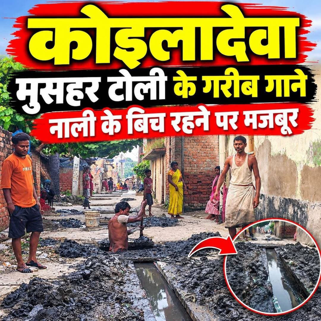 कोइलादेवा वार्ड नं 10 मुसहर बस्ती का ये हाल गंदे नाली मे रहने पर मजबूर जनता!