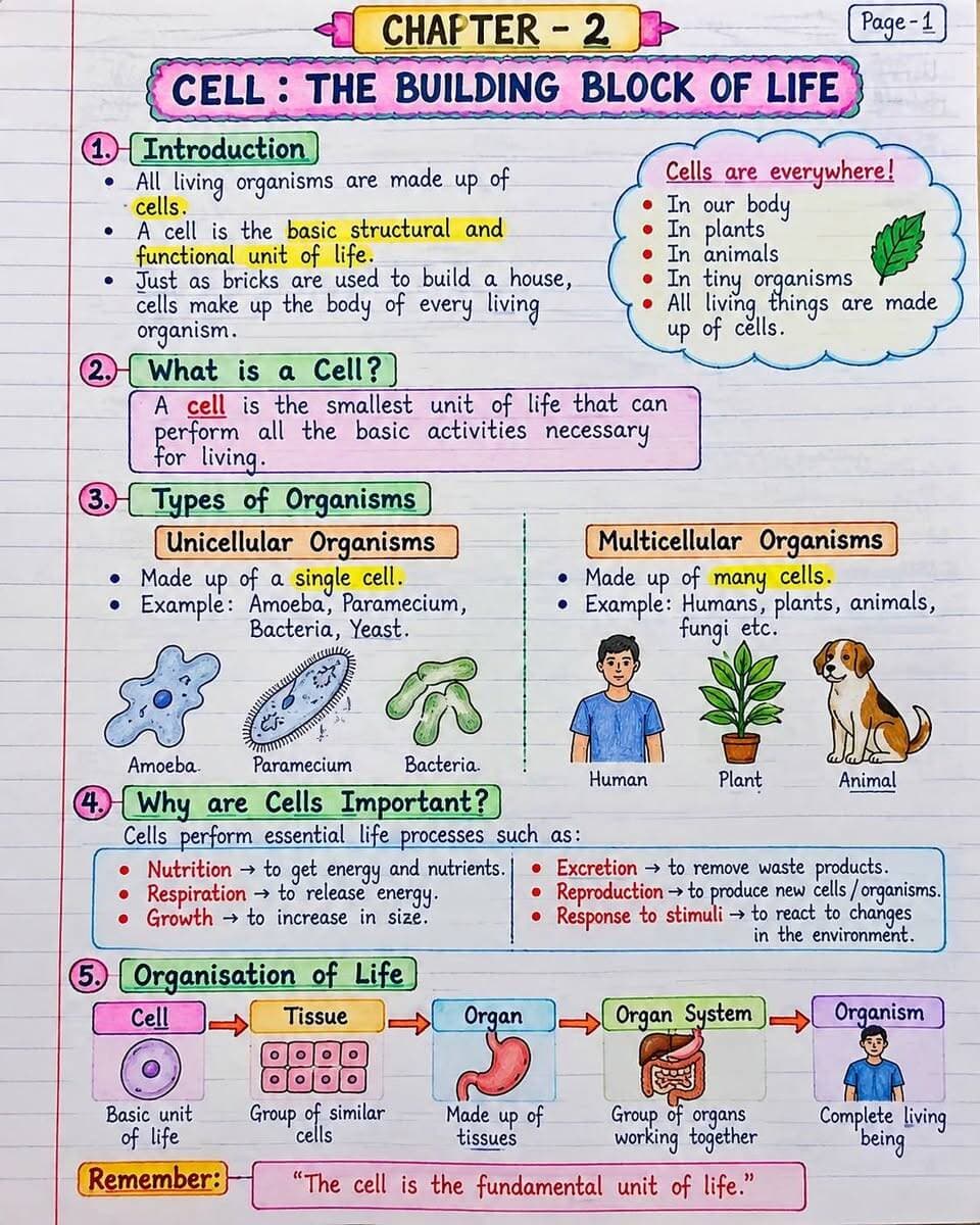 Class 9th notes English medium paid PDF ke liye contact Karen 6206961446🙏🏻