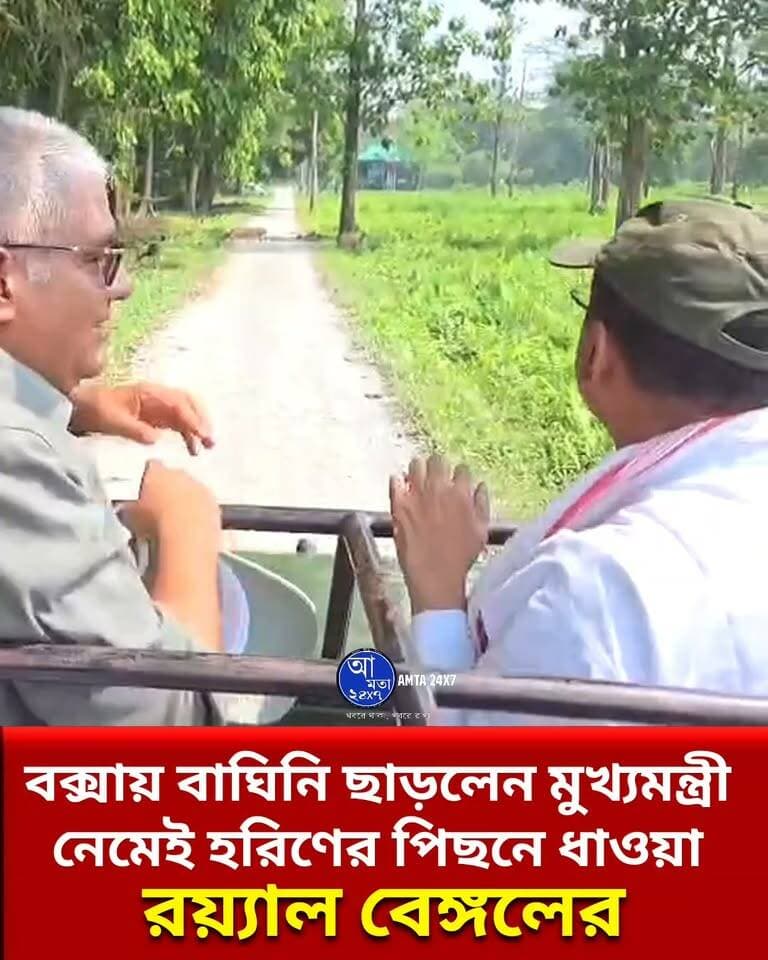 বক্সায় বাঘিনি ছাড়লেন মুখ্যমন্ত্রী, হরিণের পিছনে ধাওয়া রয়্যাল বেঙ্গলের
#TigerBackInBuxa